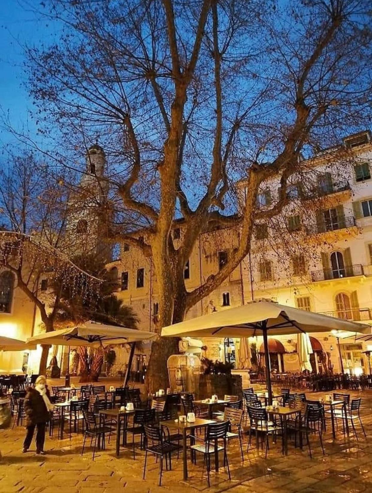 Casa Girasole Sanremo Centro Apartment Bagian luar foto